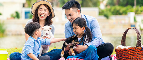 Family of four laughing together as they picnic outside with puppy.