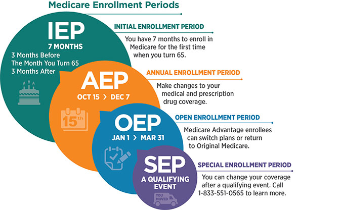 enrollment periods infographic